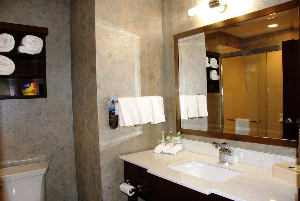 Holiday Inn Express & Suites St Louis Airport By Ihg Woodson Terrace Kamer foto